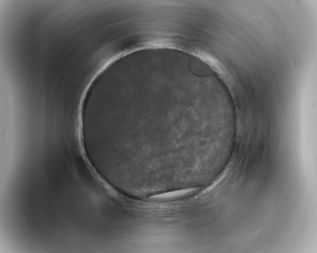 X0000095131286200712211322