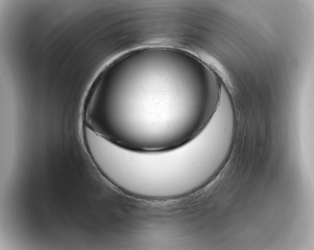 X0000095131288200712211322