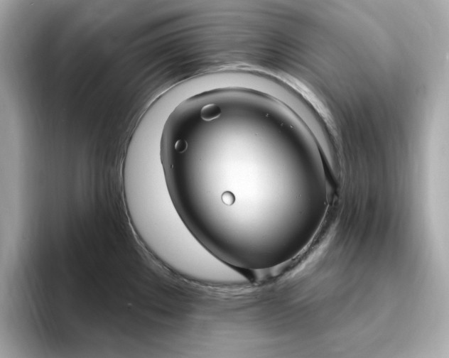 X0000095131289200712211322