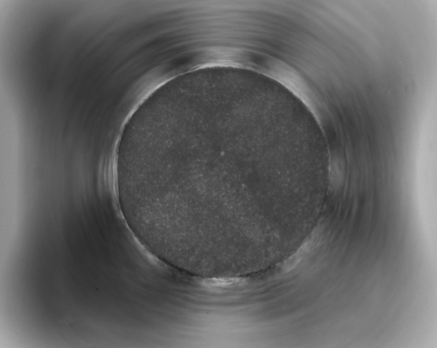 X0000095131290200712211322