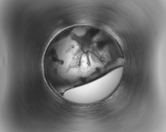 X0000095131291200712211322