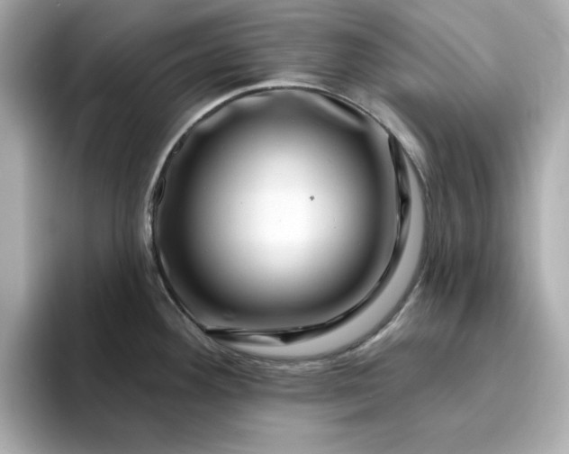 X0000095131292200712211322