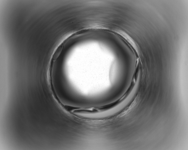 X0000095131293200712211322