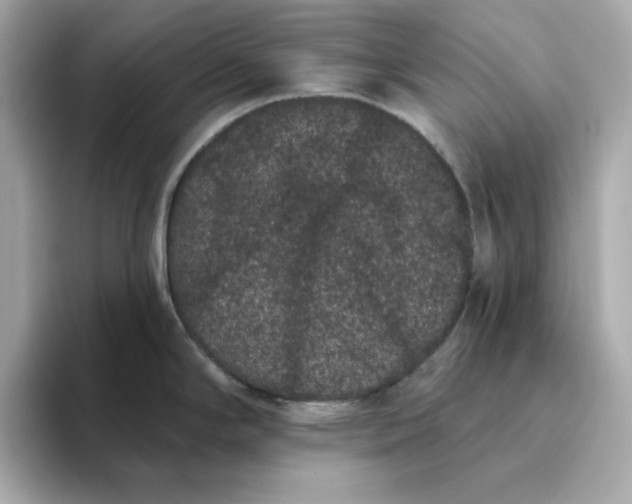 X0000095131294200712211322