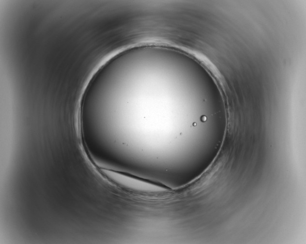 X0000095131295200712211322