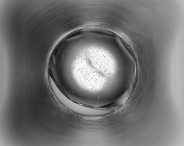 X0000095131296200712211322