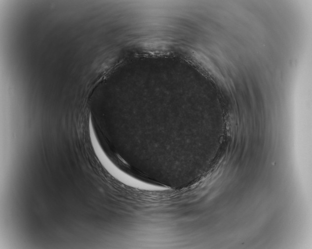 X0000095131298200712211322