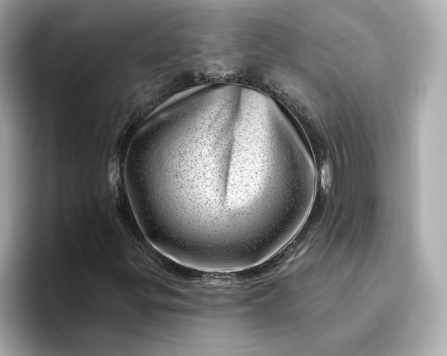 X0000095131299200712211322