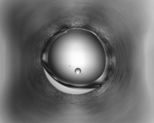 X0000095131300200712211322