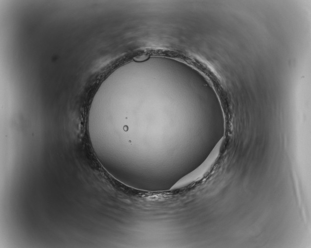 X0000095131303200712211322