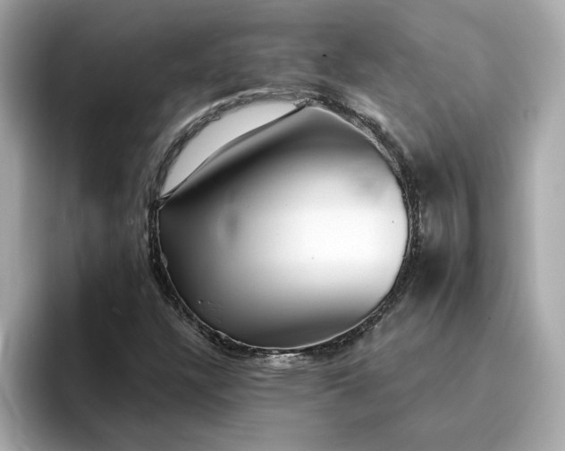 X0000095131304200712211322