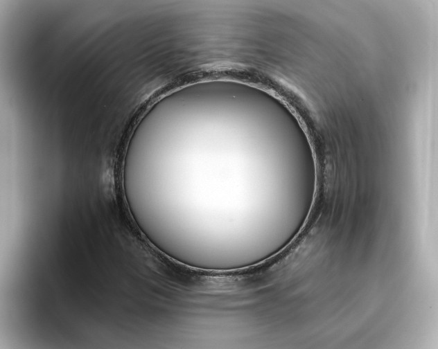 X0000095131305200712211322