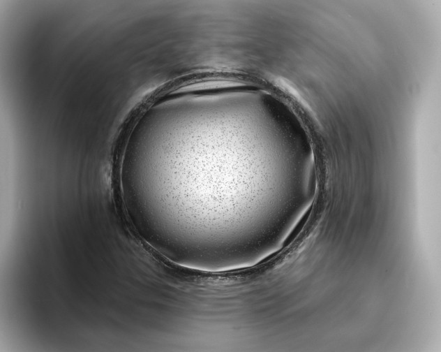 X0000095131307200712211322