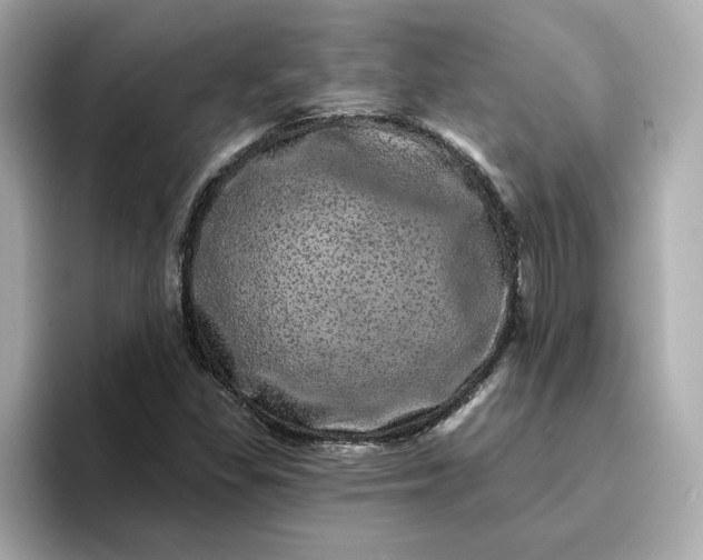 X0000095131309200712211322