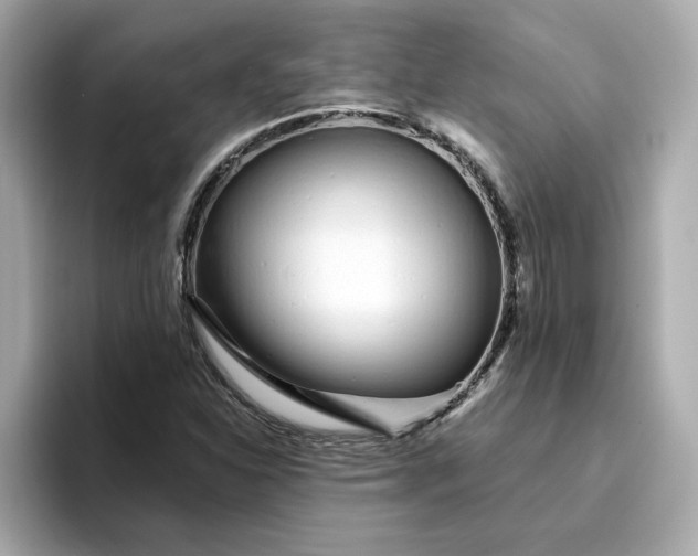 X0000095131310200712211322