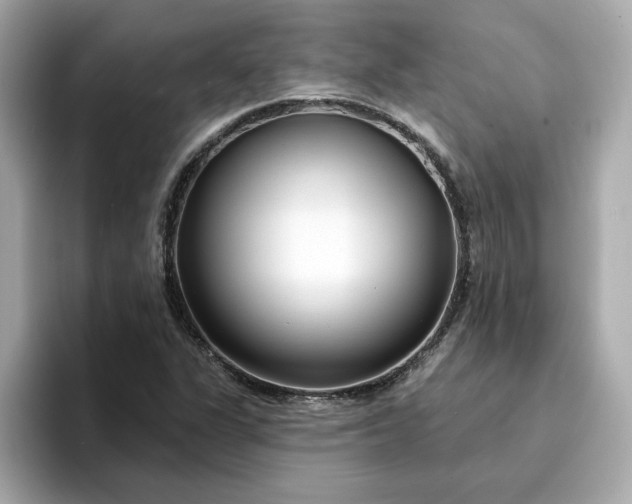 X0000095131311200712211322