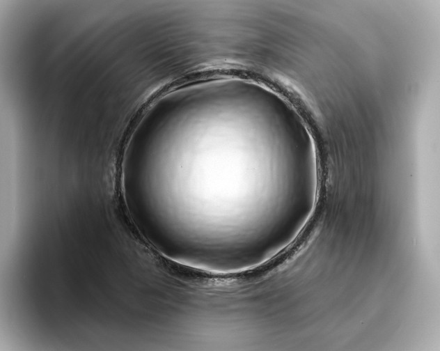 X0000095131313200712211322