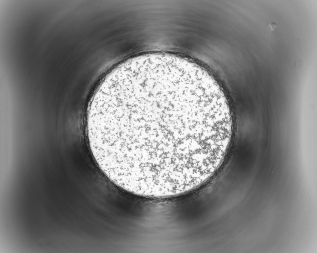 X0000095131314200712211322