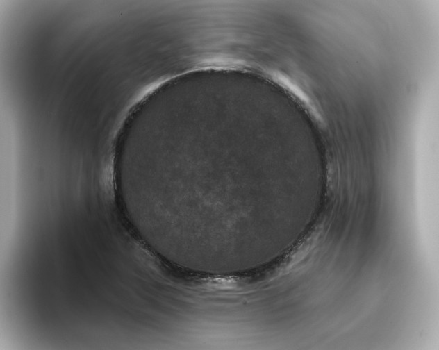 X0000095131315200712211322