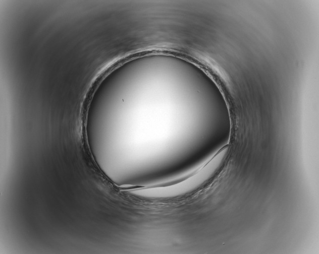 X0000095131316200712211322