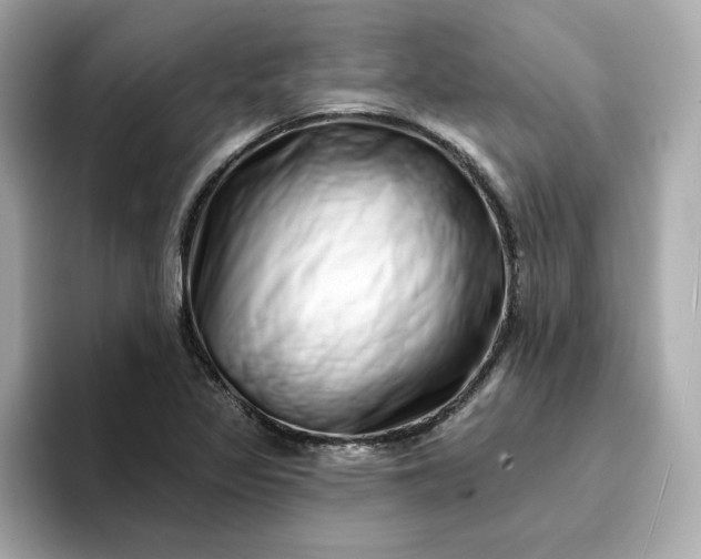 X0000095131317200712211322