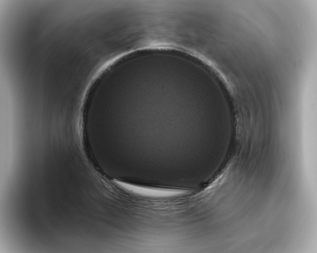 X0000095131319200712211322