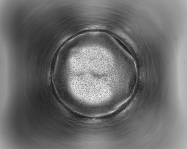 X0000095131321200712211322