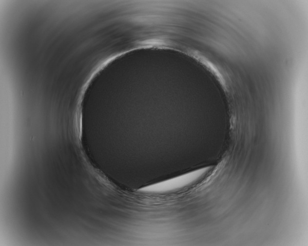 X0000095131323200712211322