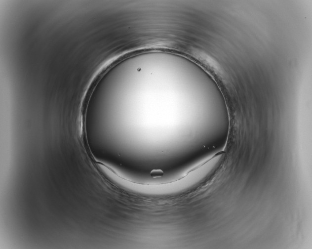 X0000095131324200712211322