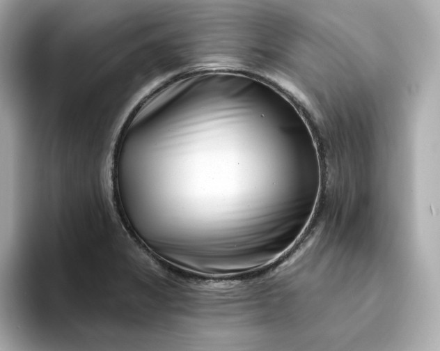 X0000095131325200712211322