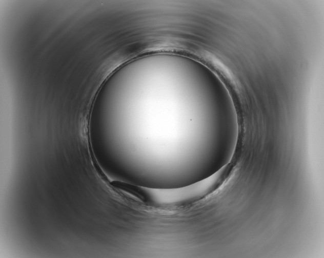 X0000095131329200712211322