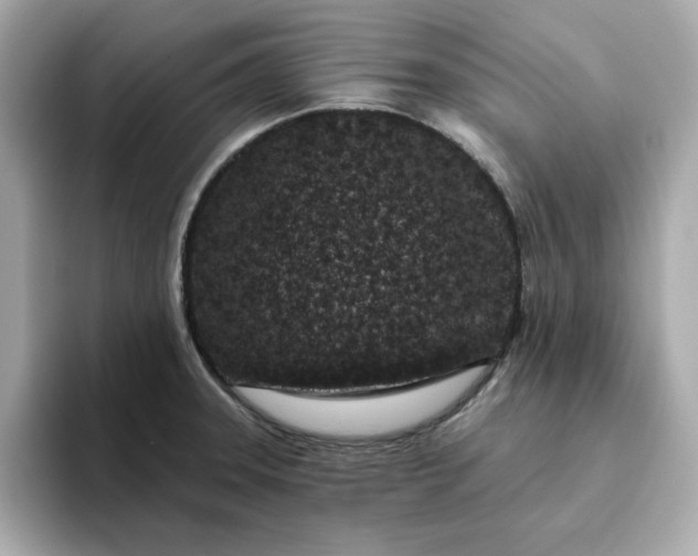 X0000095131331200712211322