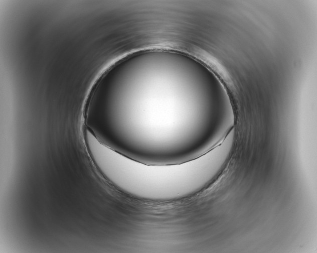 X0000095131332200712211322