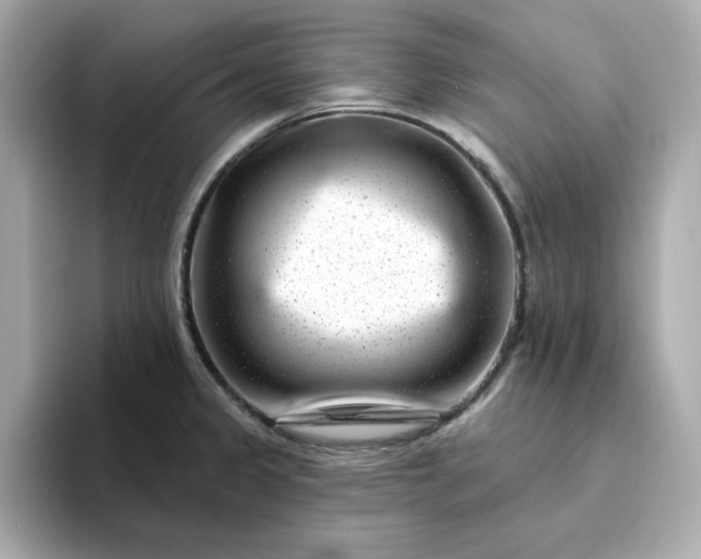 X0000095131333200712211322