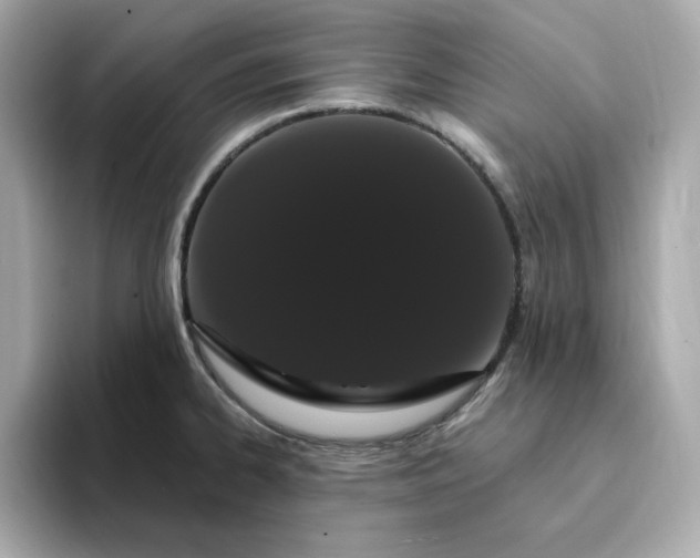 X0000095131334200712211322