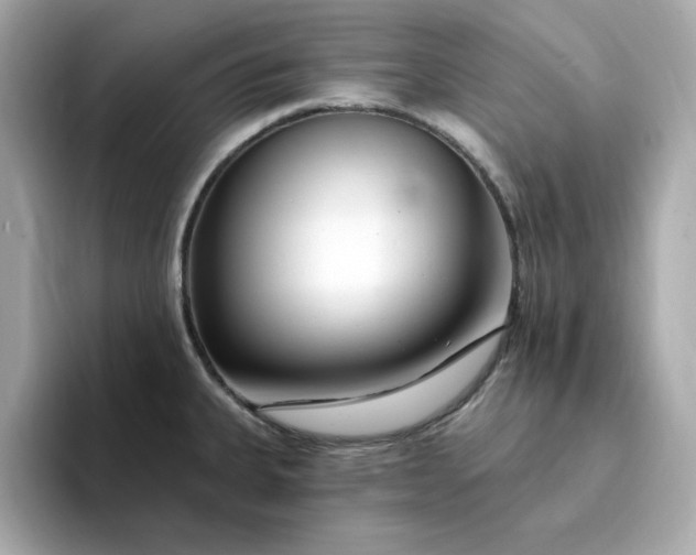 X0000095131335200712211322