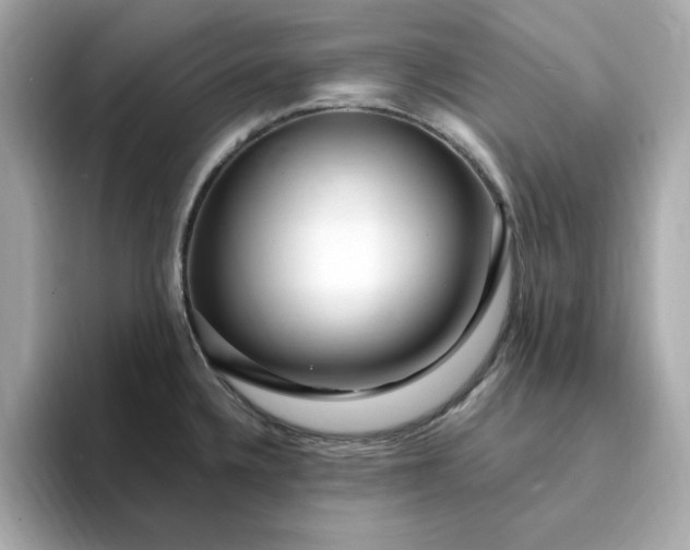 X0000095131336200712211322