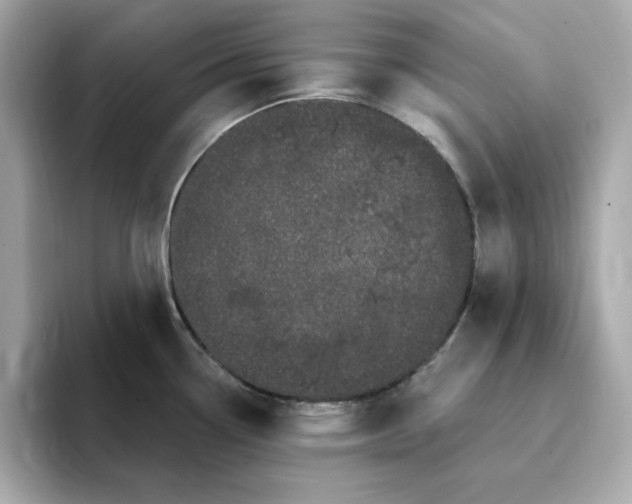 X0000095131338200712211322