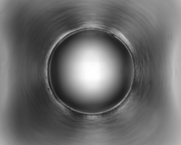 X0000095131339200712211322