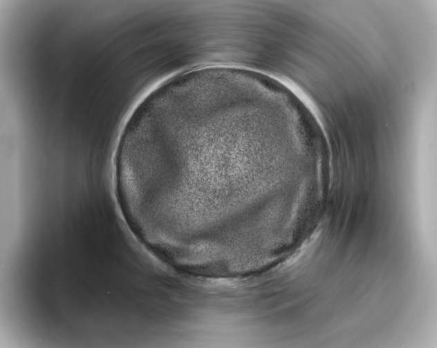 X0000095131341200712211322