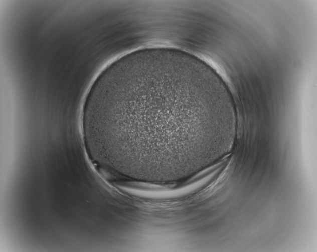 X0000095131342200712211322