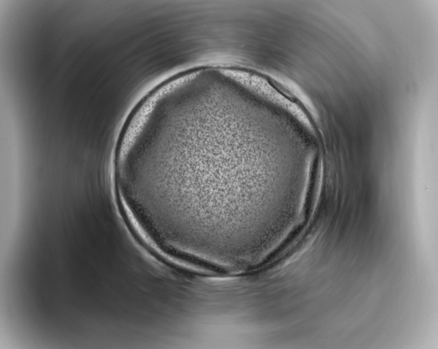 X0000095131343200712211322