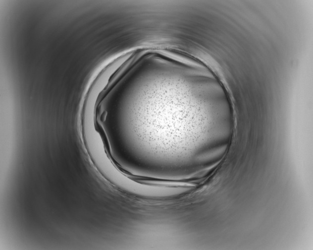 X0000095131344200712211322