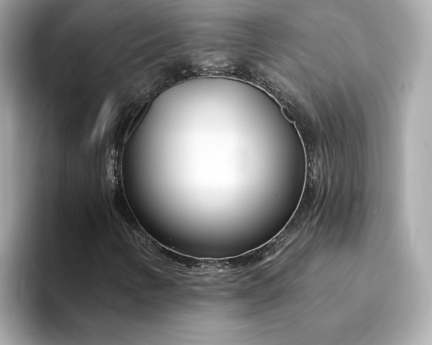 X0000095131346200712211321