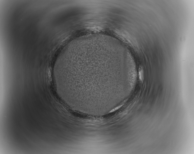 X0000095131347200712211321