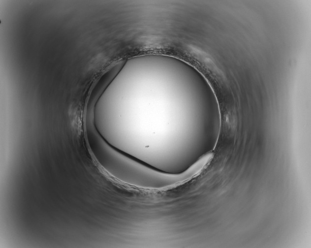 X0000095131348200712211321