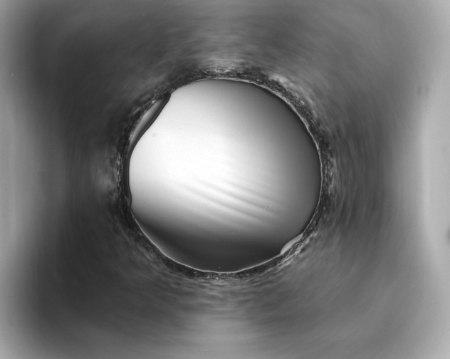 X0000095131349200712211321