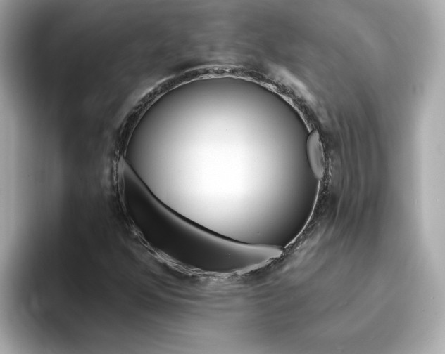 X0000095131352200712211321