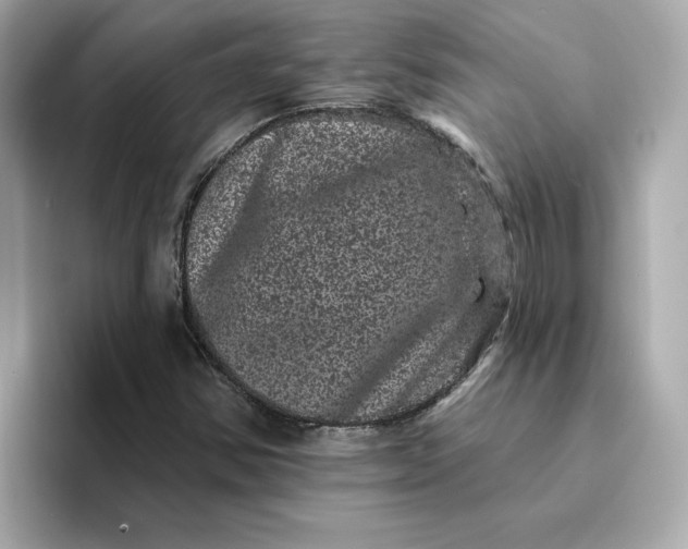 X0000095131354200712211321