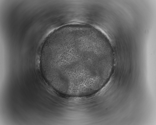 X0000095131355200712211321